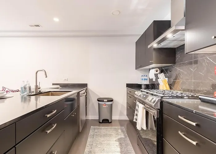 New Adorable Unit Located In Historic Greystone Apartment Chicago